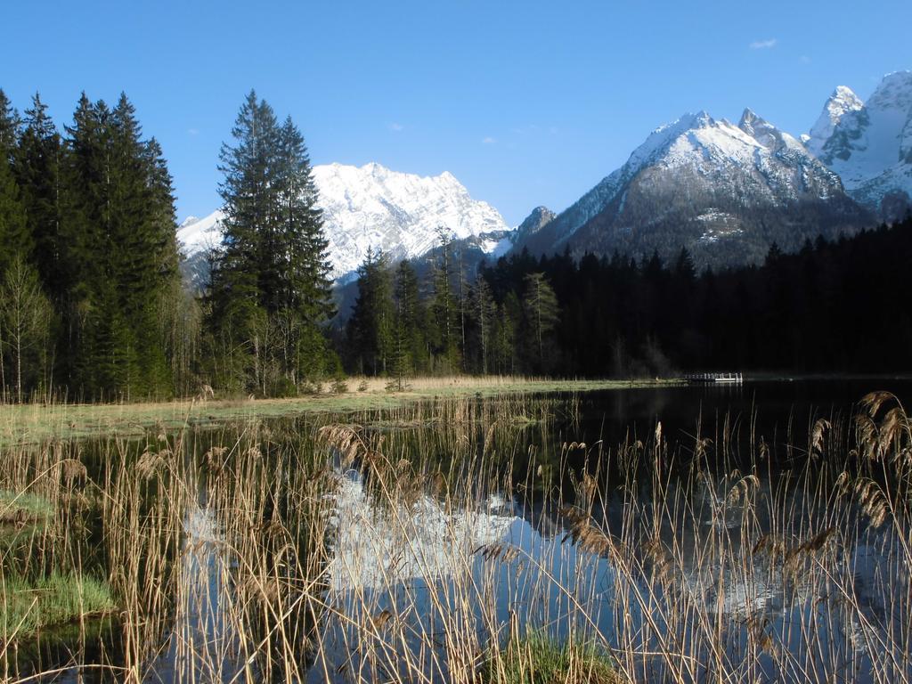 Haus Buchenwald Διαμέρισμα Ramsau bei Berchtesgaden Εξωτερικό φωτογραφία