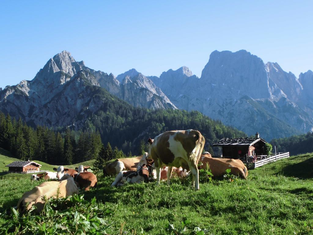 Haus Buchenwald Διαμέρισμα Ramsau bei Berchtesgaden Εξωτερικό φωτογραφία